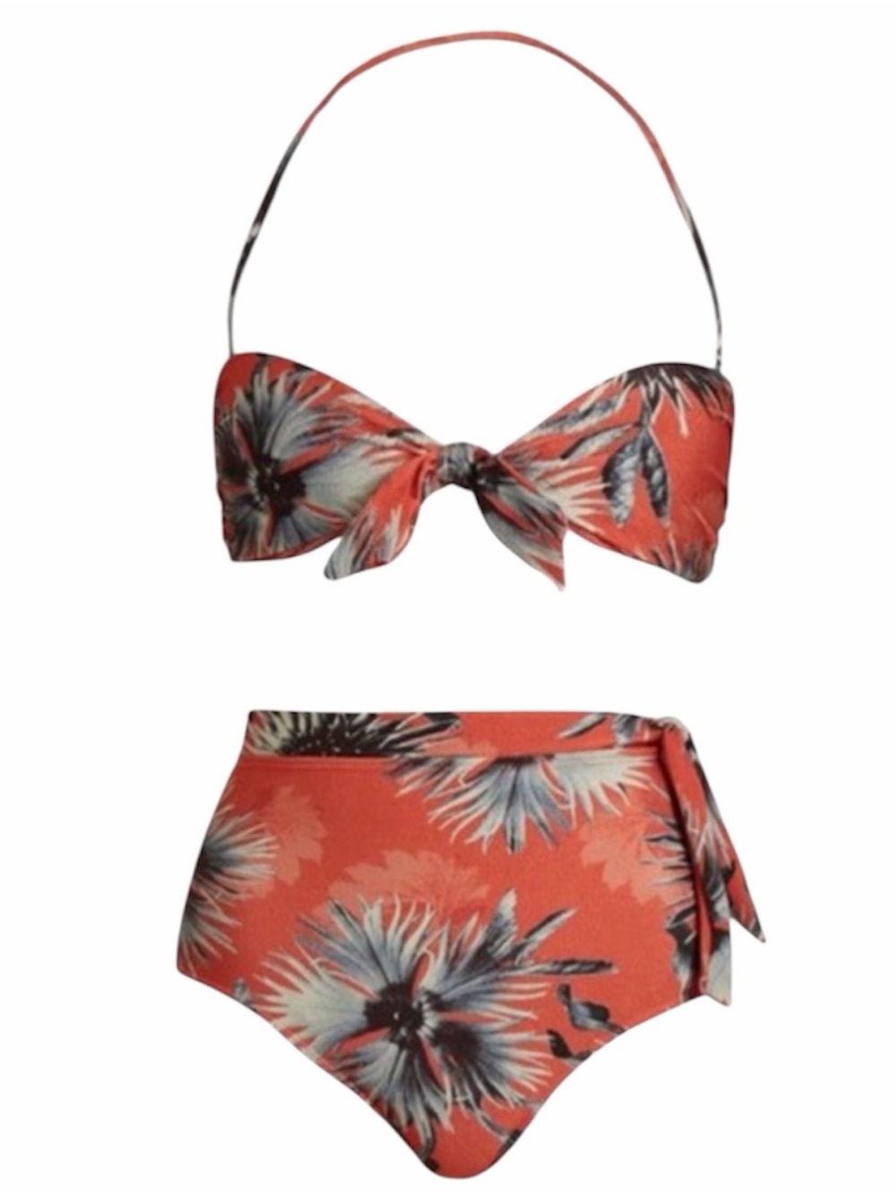 Adriana Degreas Tropical Print Bikini
